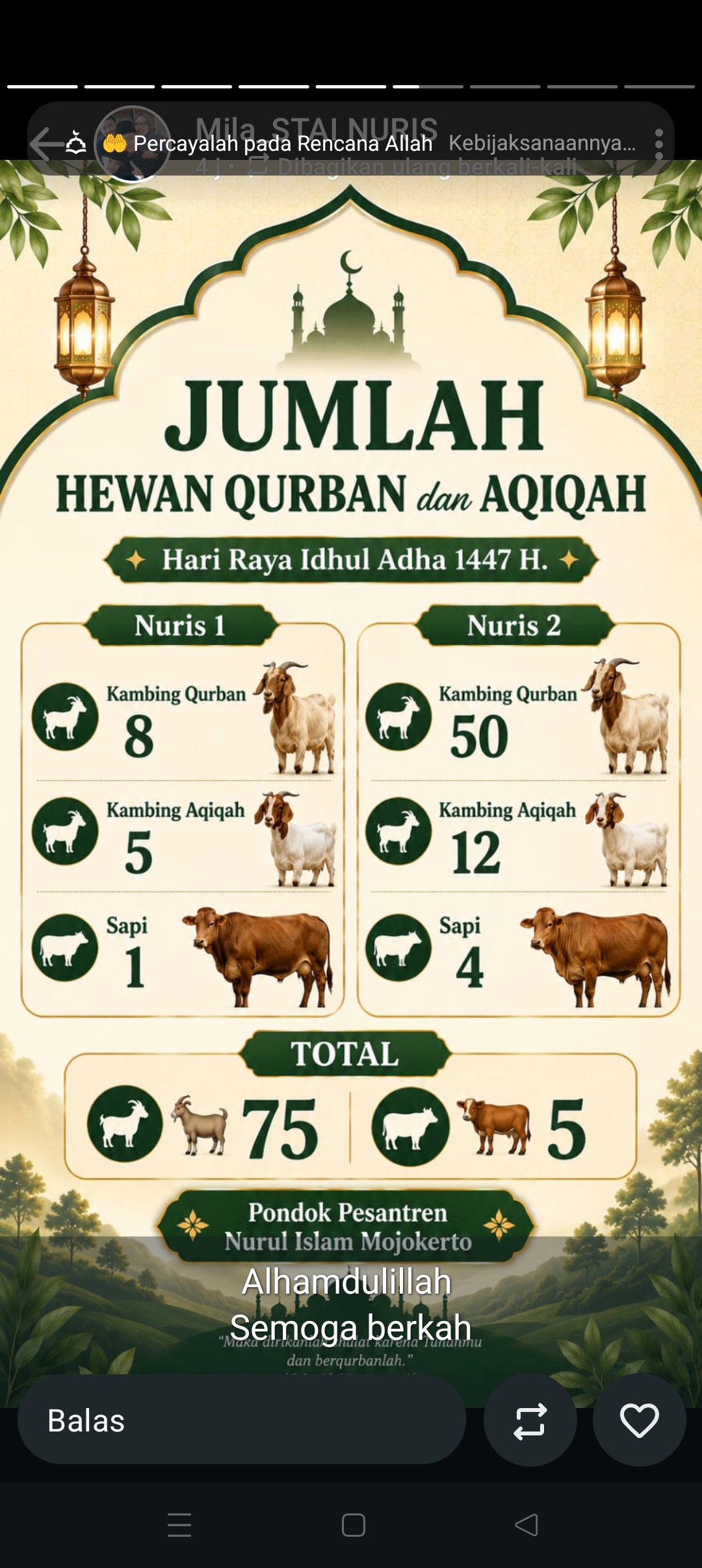 Ponpes Nuris Pungging Mojokerto Sembelih 75 Kambing dan 5 Sapi di Idul Adha 1447 H